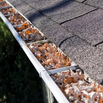 clogged gutter